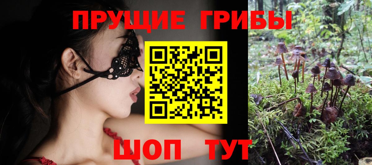 Галлюциногенные грибы мицелий Вышний Волочёк