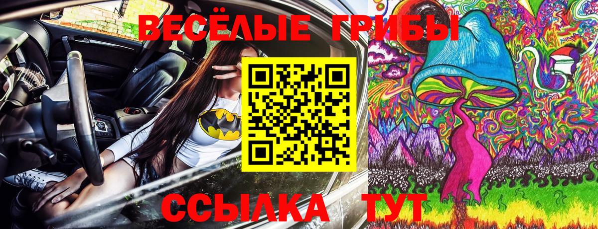Псилоцибиновые грибы MAGIC MUSHROOMS  Псилоцибиновые грибы прущие грибы  Вышний Волочёк  Вход с VPN 